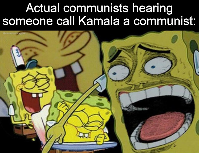 Sponge Bob laughing | Actual communists hearing someone call Kamala a communist: | image tagged in sponge bob laughing,communism,communist,communists,kamala harris | made w/ Imgflip meme maker