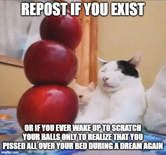 gluttony | REPOST IF YOU EXIST; OR IF YOU EVER WAKE UP TO SCRATCH YOUR BALLS ONLY TO REALIZE THAT YOU PISSED ALL OVER YOUR BED DURING A DREAM AGAIN | image tagged in gluttony | made w/ Imgflip meme maker