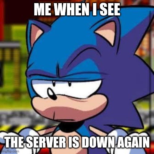 sonic are you kidding me | ME WHEN I SEE; THE SERVER IS DOWN AGAIN | image tagged in sonic are you kidding me | made w/ Imgflip meme maker