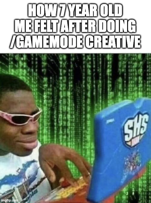 i have mastered the commands | HOW 7 YEAR OLD ME FELT AFTER DOING /GAMEMODE CREATIVE | image tagged in ryan beckford,memes,gaming,minecraft,cheats,creative | made w/ Imgflip meme maker