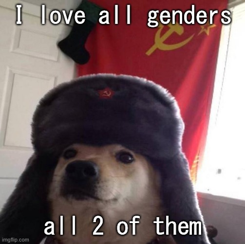 Evil_Neko temp | I love all genders; all 2 of them | image tagged in evil_neko temp | made w/ Imgflip meme maker