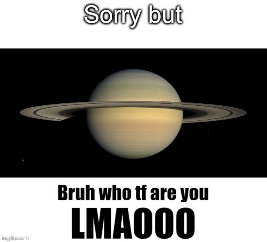 Bruh who tf are you LMAOOO | Sorry but | image tagged in bruh who tf are you lmaooo | made w/ Imgflip meme maker