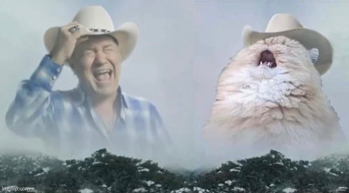 Screaming old man and cat | image tagged in screaming old man,why are you reading this,new template,template,cats,howdy | made w/ Imgflip meme maker