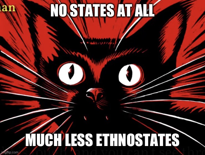 Sabo tabby | NO STATES AT ALL MUCH LESS ETHNOSTATES | image tagged in sabo tabby | made w/ Imgflip meme maker