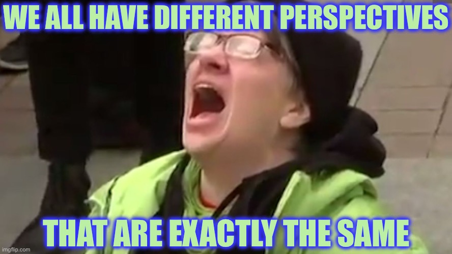 Liberal Logic Strikes Again | WE ALL HAVE DIFFERENT PERSPECTIVES; THAT ARE EXACTLY THE SAME | image tagged in screaming liberal,liberal logic,liberal hypocrisy,stupid liberals,fascism | made w/ Imgflip meme maker