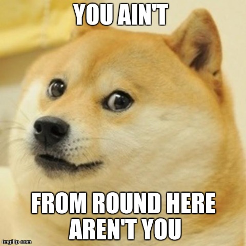 Doge | YOU AIN'T  FROM ROUND HERE AREN'T YOU | image tagged in memes,doge | made w/ Imgflip meme maker