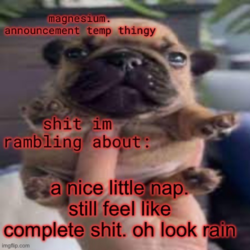 I will never get better | a nice little nap. still feel like complete shit. oh look rain | image tagged in pug temp | made w/ Imgflip meme maker