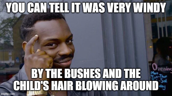 Roll Safe Think About It Meme | YOU CAN TELL IT WAS VERY WINDY BY THE BUSHES AND THE CHILD'S HAIR BLOWING AROUND | image tagged in memes,roll safe think about it | made w/ Imgflip meme maker