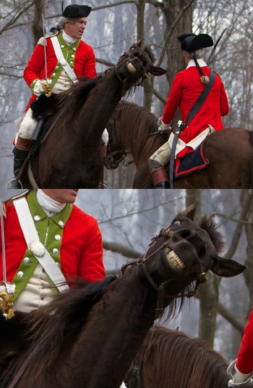 Horse photobomb - revolutionary war [resized] Blank Meme Template