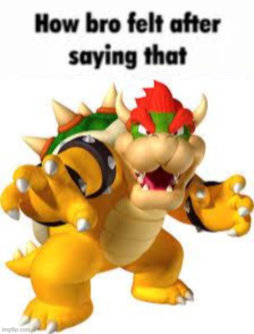 image tagged in how bro felt after saying that,bowser | made w/ Imgflip meme maker