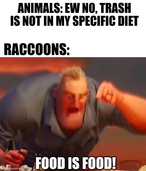 Mr incredible mad | ANIMALS: EW NO, TRASH IS NOT IN MY SPECIFIC DIET; RACCOONS:; FOOD IS FOOD! | image tagged in mr incredible mad | made w/ Imgflip meme maker