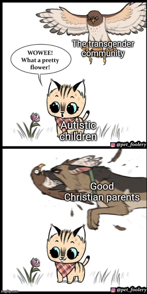 Controversial, but it needs to be said | The transgender community; Autistic children; Good Christian parents | image tagged in brutus and pixie,autism,trans | made w/ Imgflip meme maker