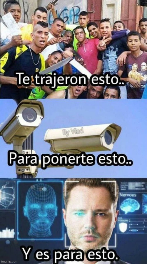 915348.jpg
