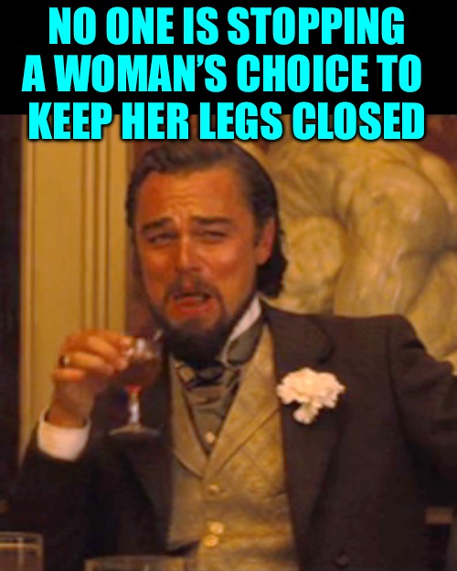 Laughing Leo Meme | NO ONE IS STOPPING A WOMAN’S CHOICE TO 
KEEP HER LEGS CLOSED | image tagged in memes,laughing leo | made w/ Imgflip meme maker