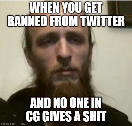 WHEN YOU GET BANNED FROM TWITTER; AND NO ONE IN CG GIVES A SHIT | made w/ Imgflip meme maker