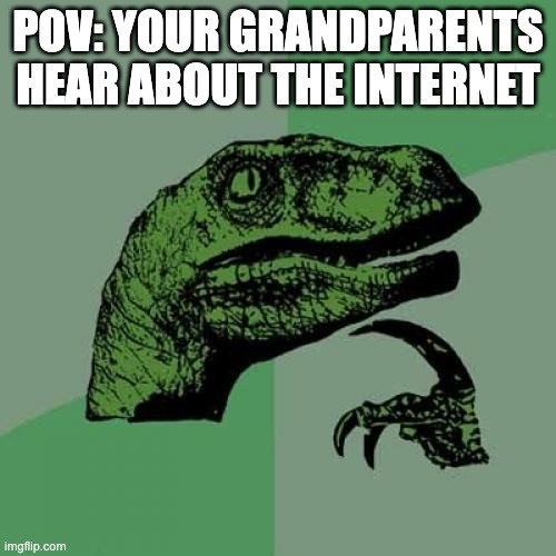 Philosoraptor | POV: YOUR GRANDPARENTS HEAR ABOUT THE INTERNET | image tagged in memes,philosoraptor | made w/ Imgflip meme maker