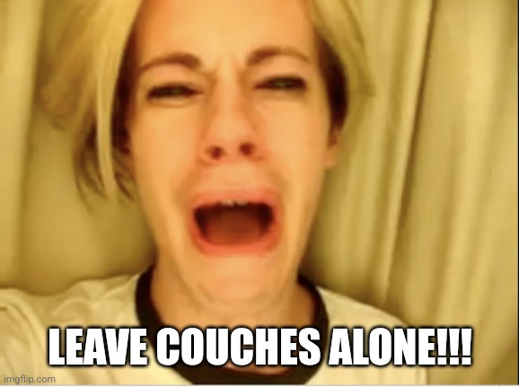 Leave Britney Alone | LEAVE COUCHES ALONE!!! | image tagged in leave britney alone | made w/ Imgflip meme maker