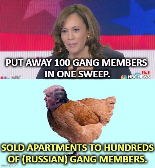 California has a border with Mexico. | PUT AWAY 100 GANG MEMBERS 
IN ONE SWEEP. SOLD APARTMENTS TO HUNDREDS OF (RUSSIAN) GANG MEMBERS. | image tagged in kamala harris,strong,trump,weak,gangs | made w/ Imgflip meme maker