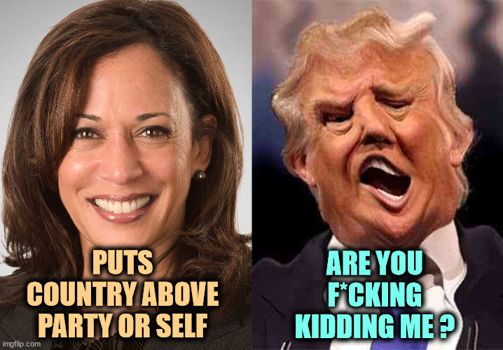 Public service, understood by her, and never to be understood by him in a million years. | ARE YOU F*CKING KIDDING ME ? PUTS COUNTRY ABOVE PARTY OR SELF | image tagged in kamala harris sane donald trump crazy on acid,kamala harris,patriot,trump,selfish,malignant narcissist | made w/ Imgflip meme maker