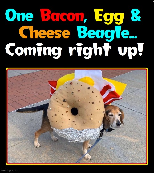 Better than a Hot Dog, huh?! | image tagged in vince vance,bacon,egg,cheese,bagels,dogs | made w/ Imgflip meme maker