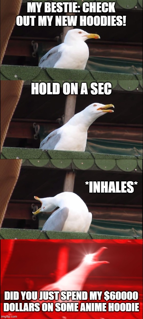 Inhaling Seagull Meme | MY BESTIE: CHECK OUT MY NEW HOODIES! HOLD ON A SEC; *INHALES*; DID YOU JUST SPEND MY $60000 DOLLARS ON SOME ANIME HOODIE | image tagged in memes,inhaling seagull | made w/ Imgflip meme maker