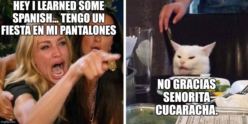 Smudge that darn cat with Karen | HEY I LEARNED SOME SPANISH... TENGO UN FIESTA EN MI PANTALONES; NO GRACIAS SENORITA CUCARACHA. | image tagged in smudge that darn cat with karen | made w/ Imgflip meme maker