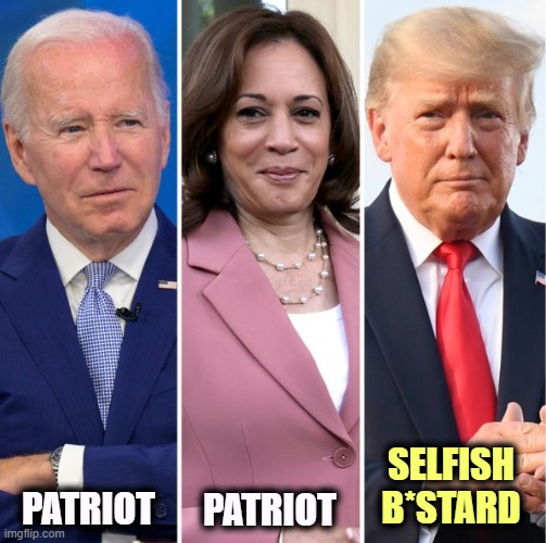 SELFISH B*STARD; PATRIOT; PATRIOT | image tagged in biden,kamala harris,patriots,trump,selfishness,selfish | made w/ Imgflip meme maker