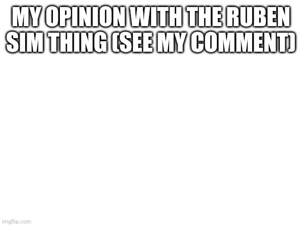 read my comment | MY OPINION WITH THE RUBEN SIM THING (SEE MY COMMENT) | image tagged in comments | made w/ Imgflip meme maker