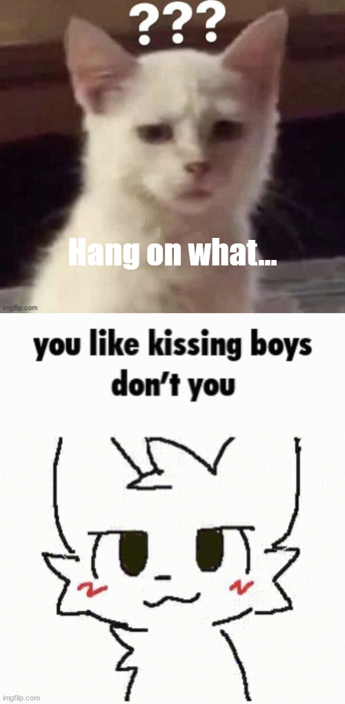 ... no i dont .... | Hang on what... | image tagged in boykisser,furry | made w/ Imgflip meme maker