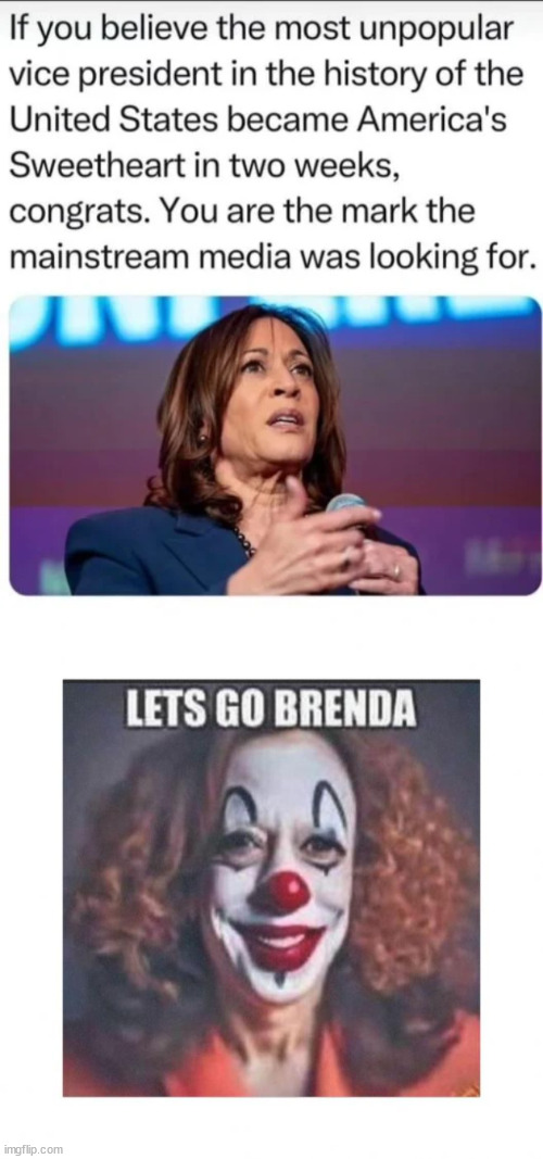 Let's go Brenda | image tagged in scamala harris,msm loves her now,lol | made w/ Imgflip meme maker