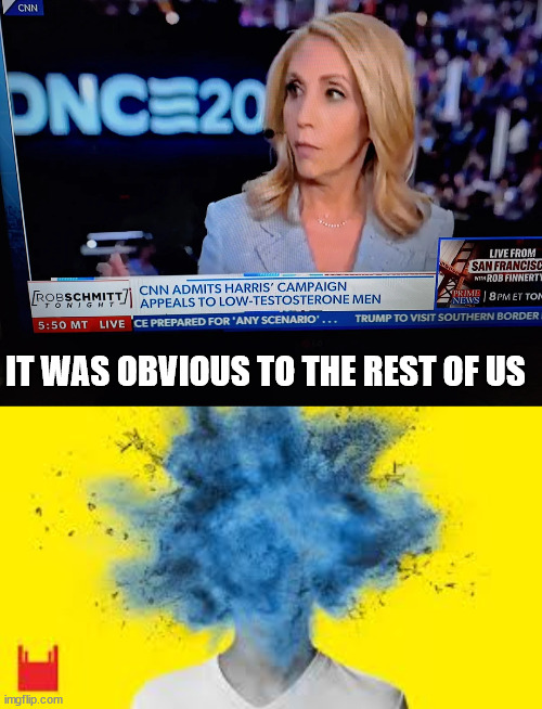 Every now and then they can't help themselves... | IT WAS OBVIOUS TO THE REST OF US | image tagged in msm,lets truth slip | made w/ Imgflip meme maker