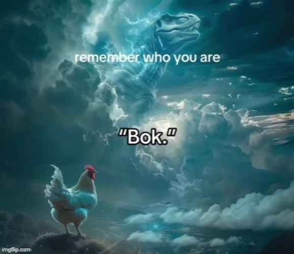 “BOK" | image tagged in i | made w/ Imgflip meme maker