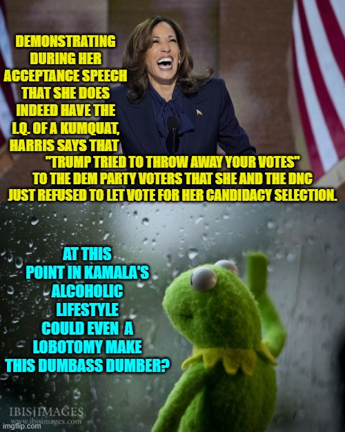 How low can a Democrat brain . . . go? | DEMONSTRATING DURING HER ACCEPTANCE SPEECH THAT SHE DOES INDEED HAVE THE I.Q. OF A KUMQUAT, HARRIS SAYS THAT; "TRUMP TRIED TO THROW AWAY YOUR VOTES" TO THE DEM PARTY VOTERS THAT SHE AND THE DNC JUST REFUSED TO LET VOTE FOR HER CANDIDACY SELECTION. AT THIS POINT IN KAMALA'S ALCOHOLIC LIFESTYLE COULD EVEN  A LOBOTOMY MAKE THIS DUMBASS DUMBER? | image tagged in yep | made w/ Imgflip meme maker