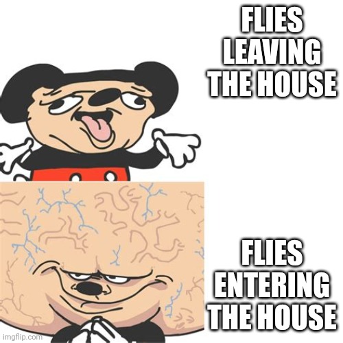 Flies. | FLIES ENTERING THE HOUSE; FLIES LEAVING THE HOUSE | image tagged in mickey mouse smart dumb,relatable,flies | made w/ Imgflip meme maker