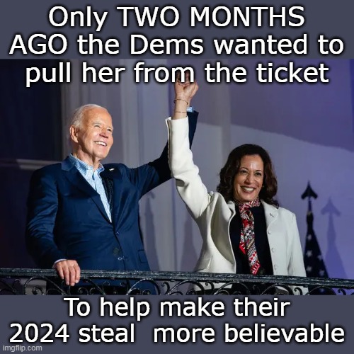 Feeling the Joy yet? | Only TWO MONTHS AGO the Dems wanted to pull her from the ticket; To help make their 2024 steal  more believable | image tagged in kamala metamorphosis meme | made w/ Imgflip meme maker