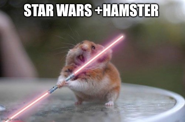 Star hamster | STAR WARS +HAMSTER | image tagged in star wars hamster | made w/ Imgflip meme maker