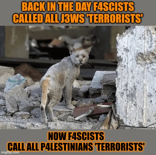 This #lolcat why hoo-mens fail to see there is no difference | BACK IN THE DAY F4SCISTS CALLED ALL J3WS 'TERRORISTS'; NOW F4SCISTS 
CALL ALL P4LESTINIANS 'TERRORISTS' | image tagged in fascists,zionists,jews,palestine,lolcat | made w/ Imgflip meme maker