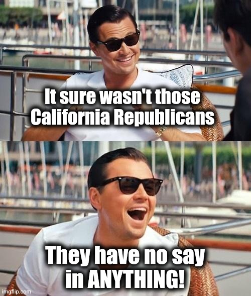 Leonardo Dicaprio Wolf Of Wall Street Meme | It sure wasn't those California Republicans They have no say
in ANYTHING! | image tagged in memes,leonardo dicaprio wolf of wall street | made w/ Imgflip meme maker