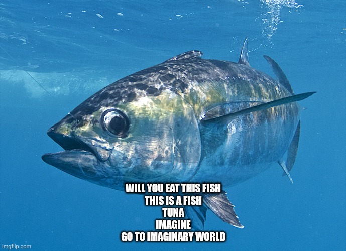 Why did the tuna said this | WILL YOU EAT THIS FISH
THIS IS A FISH
TUNA
IMAGINE
GO TO IMAGINARY WORLD | image tagged in tuna fish | made w/ Imgflip meme maker