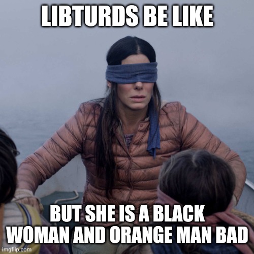 Bird Box Meme | LIBTURDS BE LIKE BUT SHE IS A BLACK WOMAN AND ORANGE MAN BAD | image tagged in memes,bird box | made w/ Imgflip meme maker