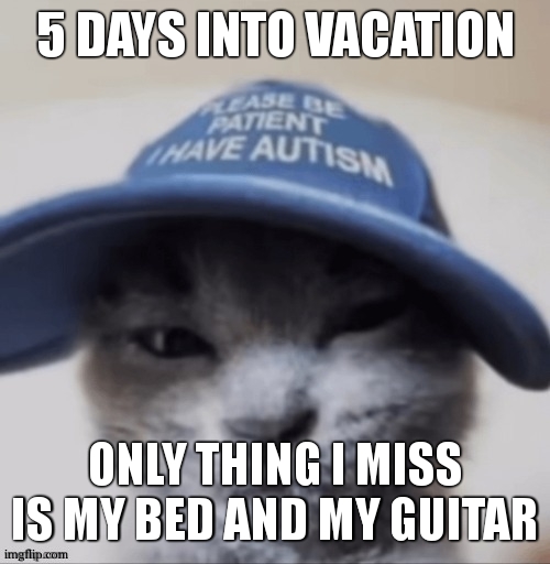 somehow i dont miss my computer , which makes me happy ngl | 5 DAYS INTO VACATION; ONLY THING I MISS IS MY BED AND MY GUITAR | image tagged in cat autism | made w/ Imgflip meme maker