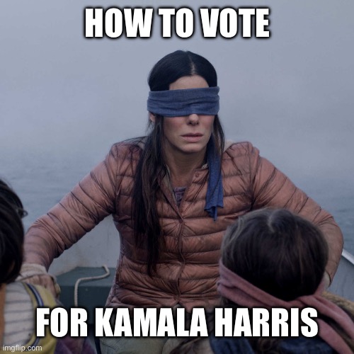 Democrats 2024 | HOW TO VOTE; FOR KAMALA HARRIS | image tagged in memes,bird box,liberal logic,liberal hypocrisy,kamala harris | made w/ Imgflip meme maker