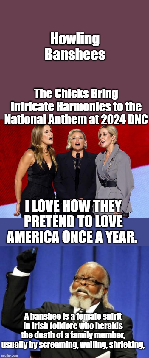 DEMS are as fake & phony as a human can be. | Howling Banshees; The Chicks Bring Intricate Harmonies to the National Anthem at 2024 DNC; I LOVE HOW THEY PRETEND TO LOVE AMERICA ONCE A YEAR. A banshee is a female spirit in Irish folklore who heralds the death of a family member, usually by screaming, wailing, shrieking, | image tagged in memes,too damn high | made w/ Imgflip meme maker