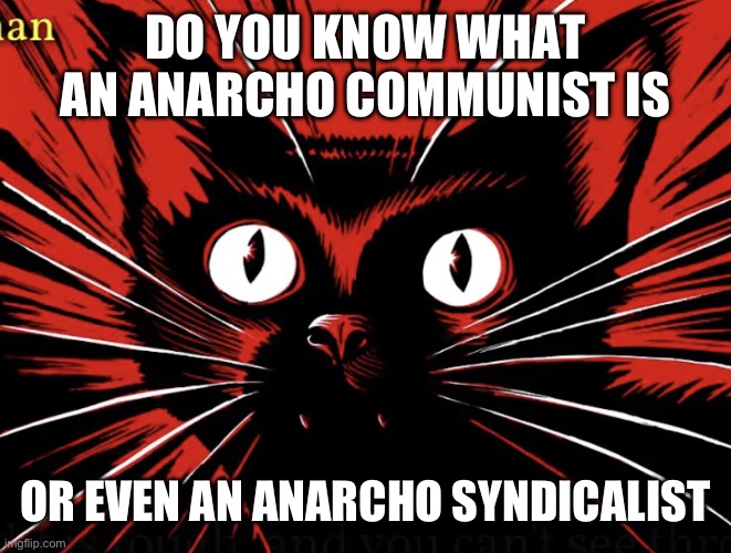 We exist hurrah! | DO YOU KNOW WHAT AN ANARCHO COMMUNIST IS; OR EVEN AN ANARCHO SYNDICALIST | image tagged in sabo tabby,anarchism,communism,syndicalism | made w/ Imgflip meme maker