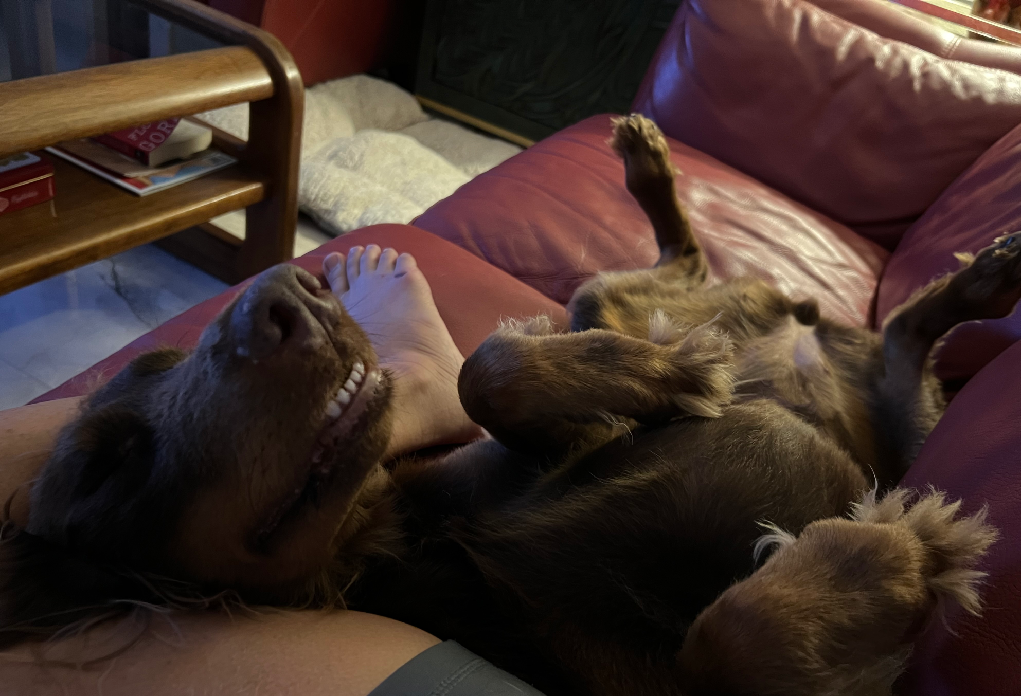 What’s up Blank Meme Template