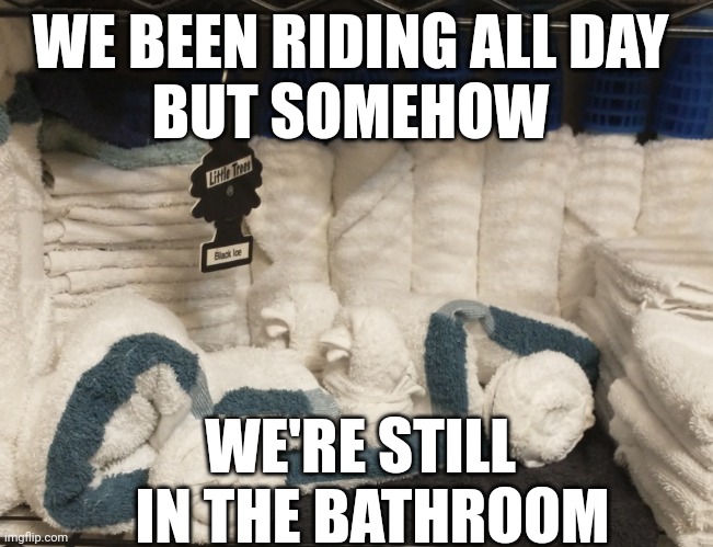 Just 2 Ducks | WE BEEN RIDING ALL DAY 
BUT SOMEHOW; WE'RE STILL 
 IN THE BATHROOM | image tagged in towel ducks design,towel,ducks,riding,best friends | made w/ Imgflip meme maker