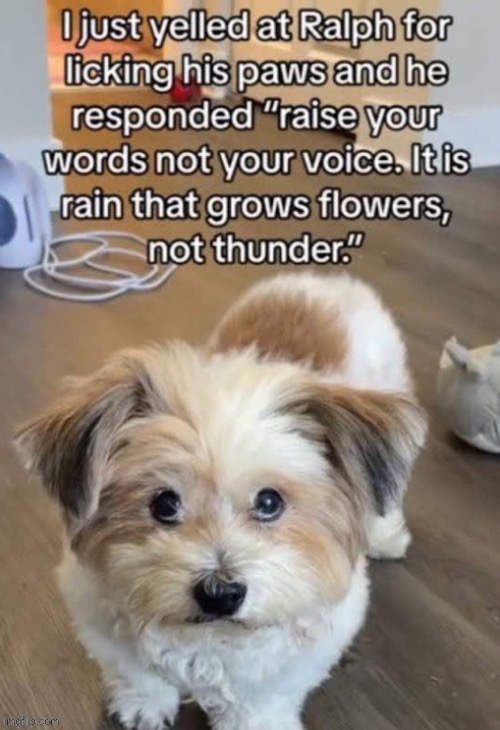 How y’all doing this fine Friday morning? | made w/ Imgflip meme maker