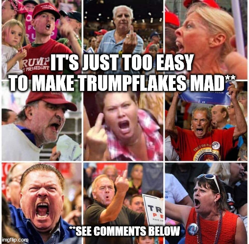 Triggered Trump supporters | IT'S JUST TOO EASY TO MAKE TRUMPFLAKES MAD**; **SEE COMMENTS BELOW | image tagged in triggered trump supporters | made w/ Imgflip meme maker