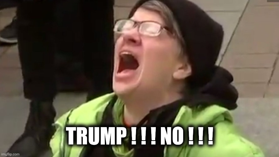 Screaming Liberal  | TRUMP ! ! ! NO ! ! ! | image tagged in screaming liberal | made w/ Imgflip meme maker