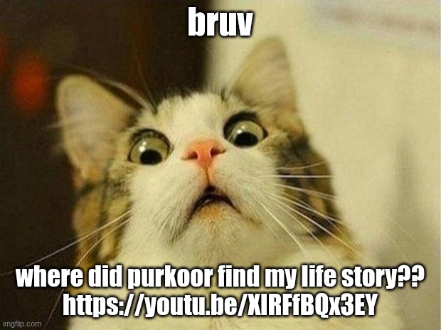 Scared Cat | bruv; where did purkoor find my life story?? 
https://youtu.be/XlRFfBQx3EY | image tagged in memes,scared cat | made w/ Imgflip meme maker